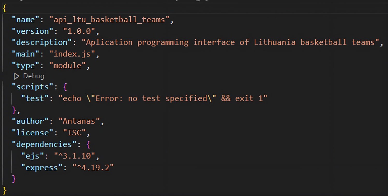 Naudojami NPM (Node Package Manager) moduliai
